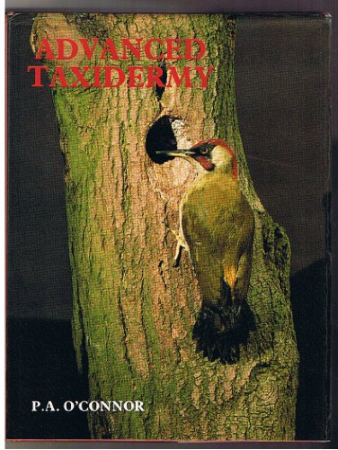 Advanced Taxidermy by P. A. O'Connor