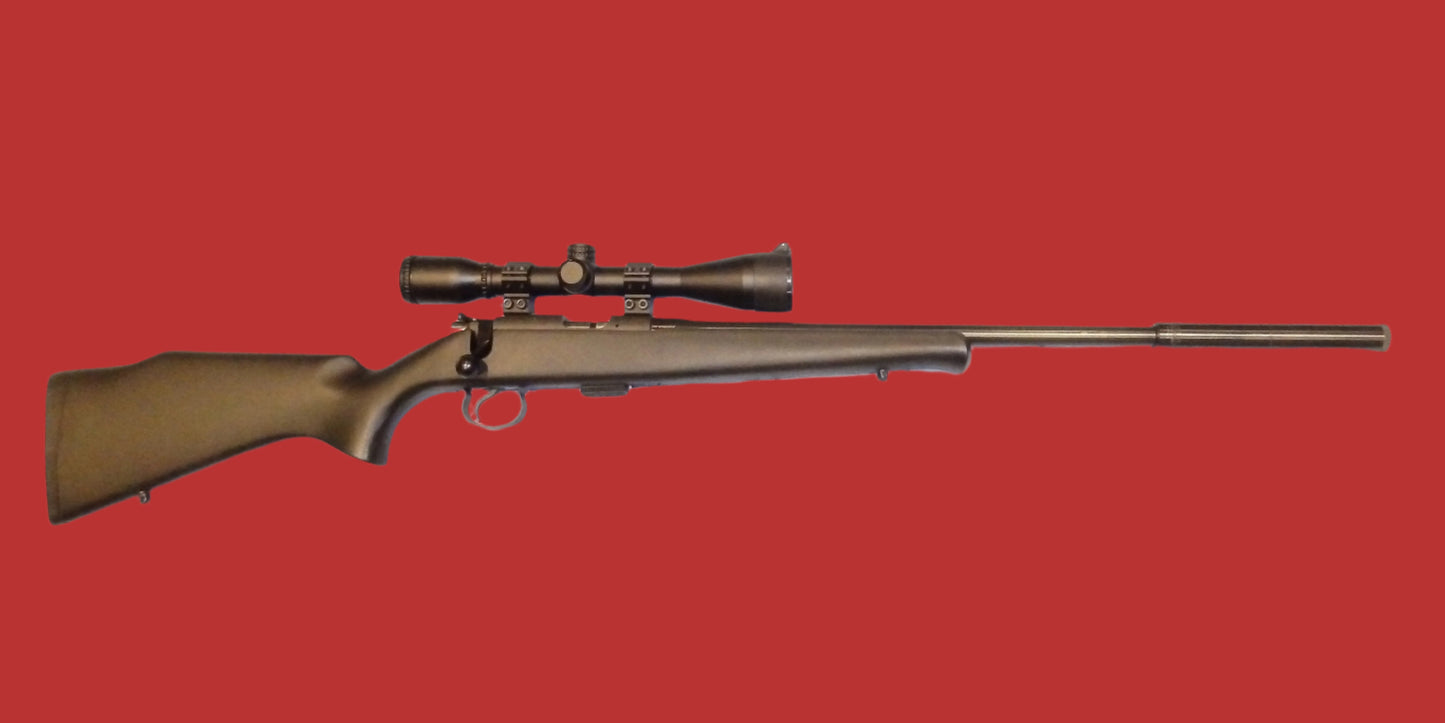 .22 C.Z. Mod 452-2E ZKM Second Hand