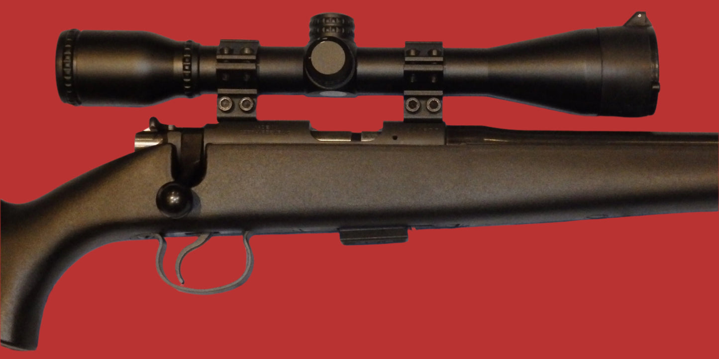 .22 C.Z. Mod 452-2E ZKM Second Hand