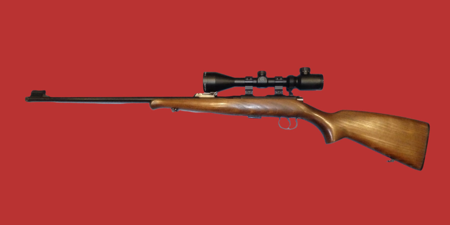 .22 C.Z. Mod 452-2E ZKM Second Hand