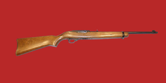 .22  Ruger 10/22 Second Hand