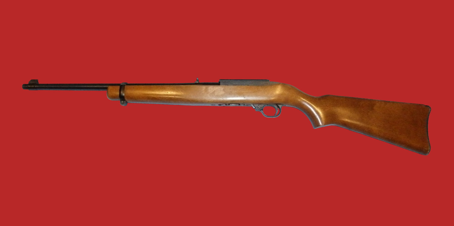 .22  Ruger 10/22 Second Hand