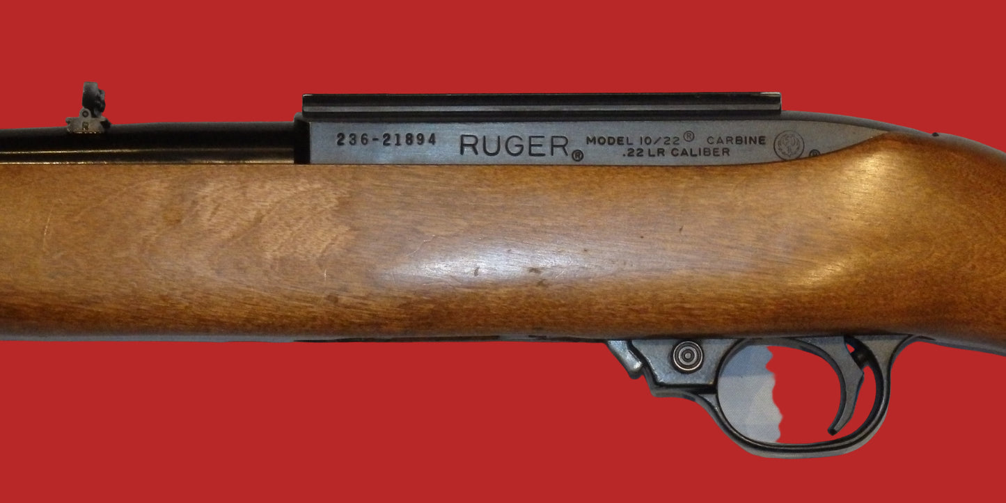 .22  Ruger 10/22 Second Hand