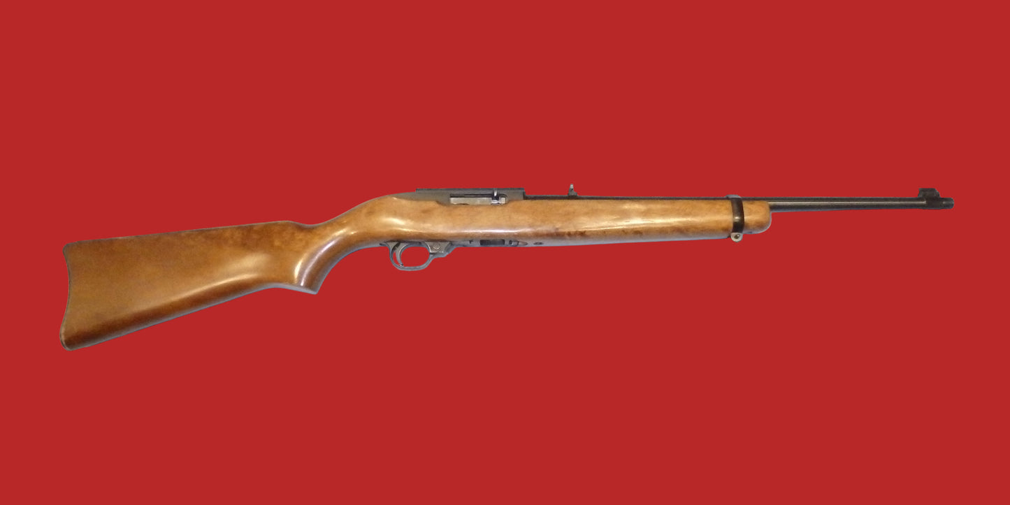 .22  Ruger 10/22 Second Hand