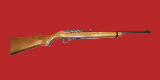 .22  Ruger 10/22 Second Hand
