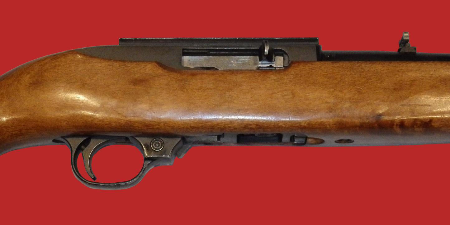 .22  Ruger 10/22 Second Hand