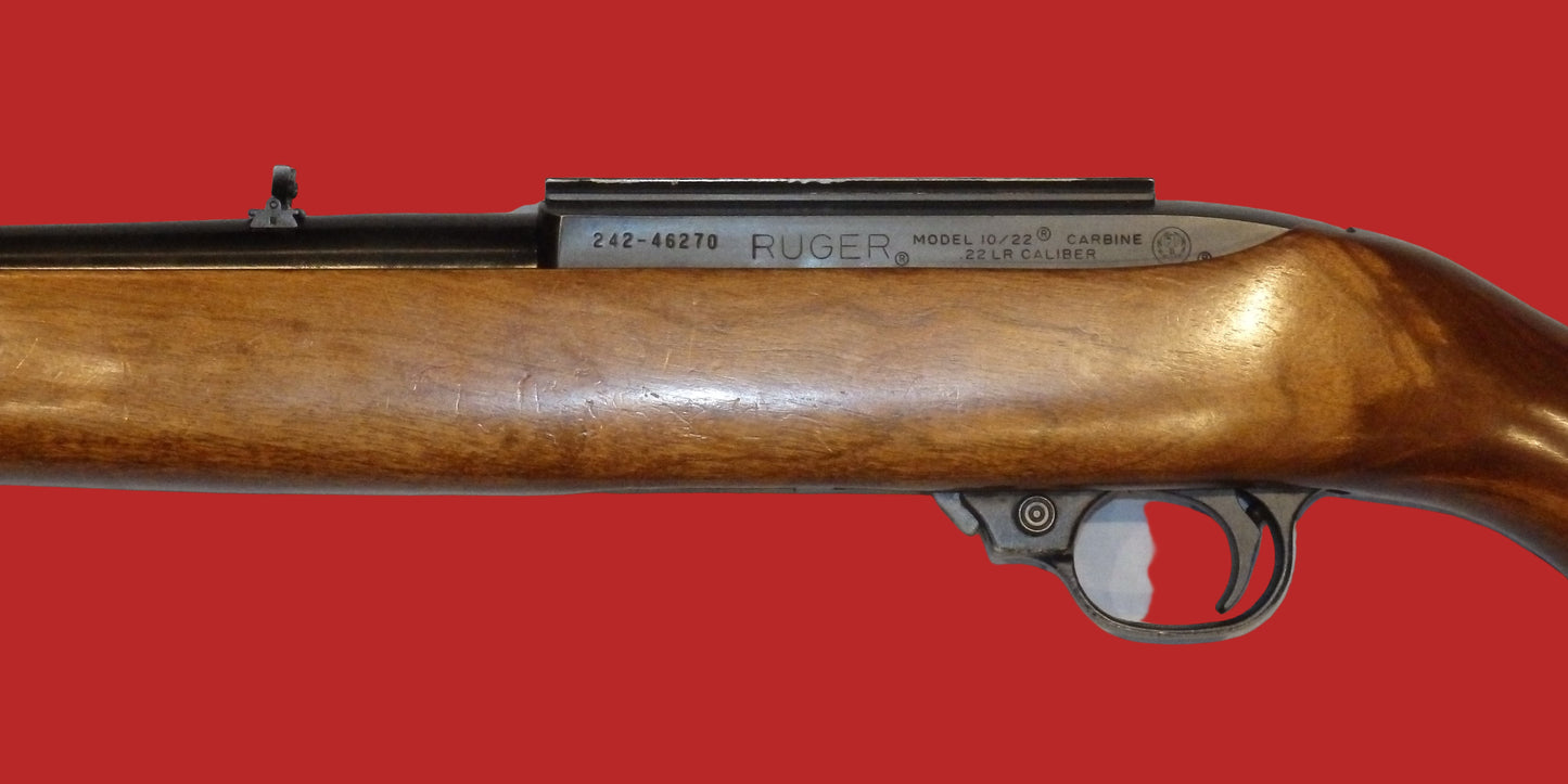 .22  Ruger 10/22 Second Hand