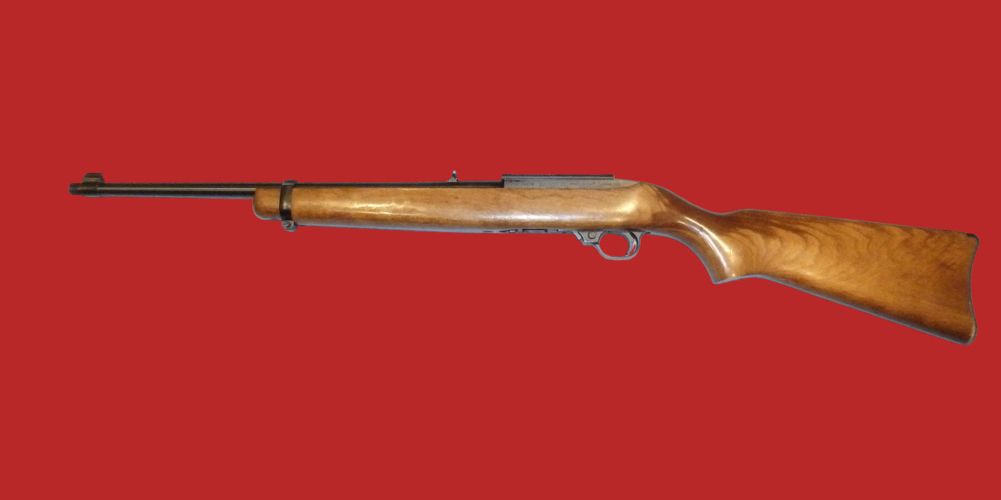 .22  Ruger 10/22 Second Hand