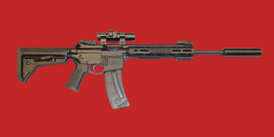 .22 Smith & Wesson SECOND HAND