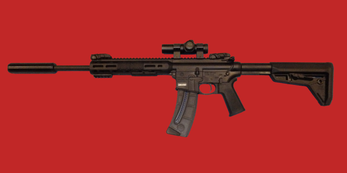 .22 Smith & Wesson SECOND HAND