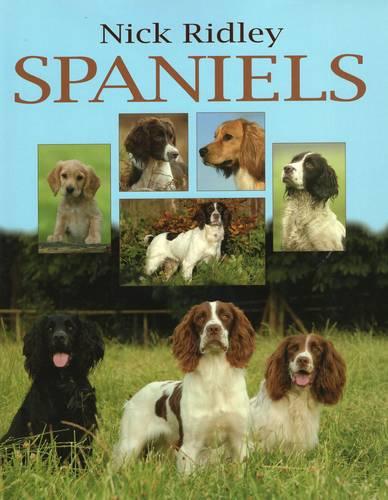 Spaniels by Nick Ridley