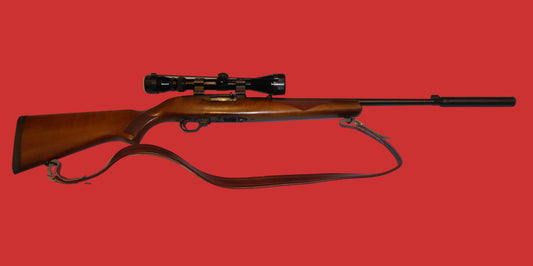 .22  Ruger 10/22 Carbine Second Hand
