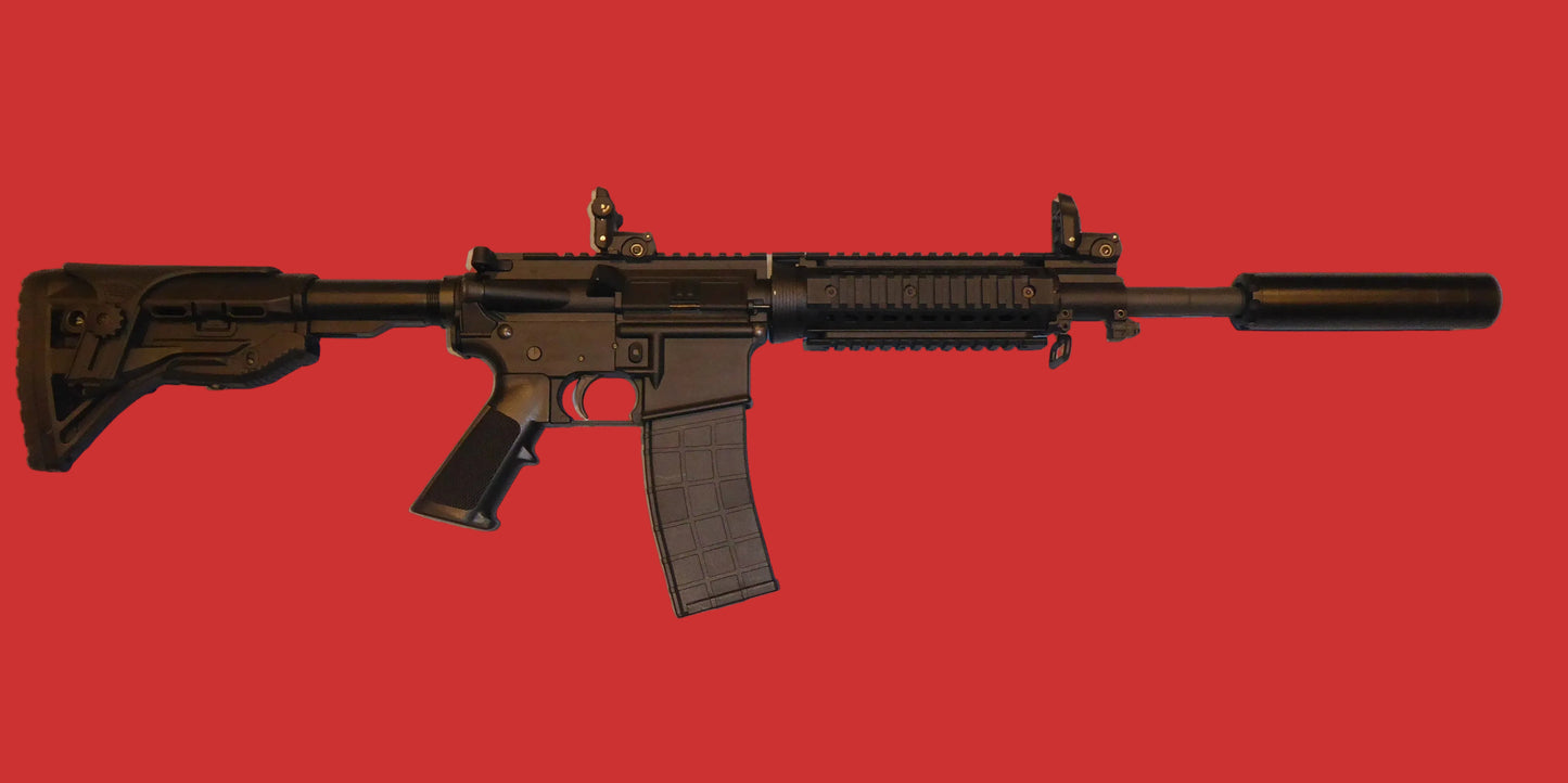 .22 Tippmann M4-22 Second Hand