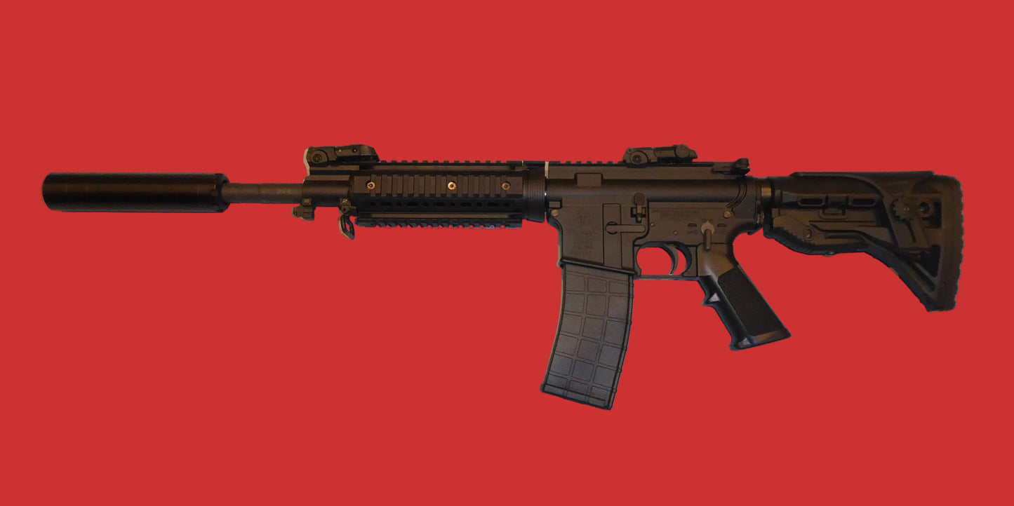 .22 Tippmann M4-22 Second Hand