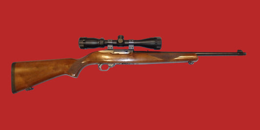.22  Ruger 10/22 Second Hand