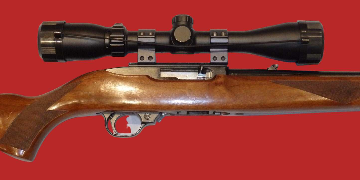 .22  Ruger 10/22 Second Hand