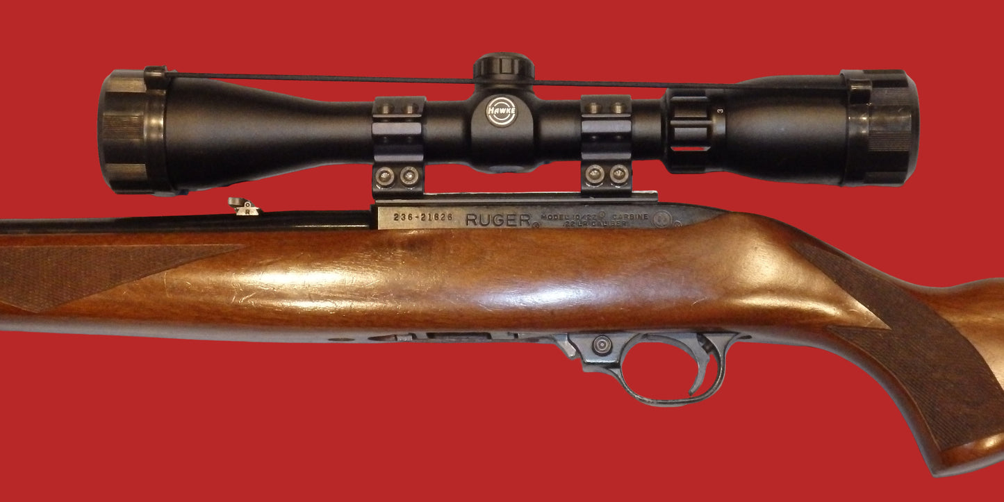 .22  Ruger 10/22 Second Hand