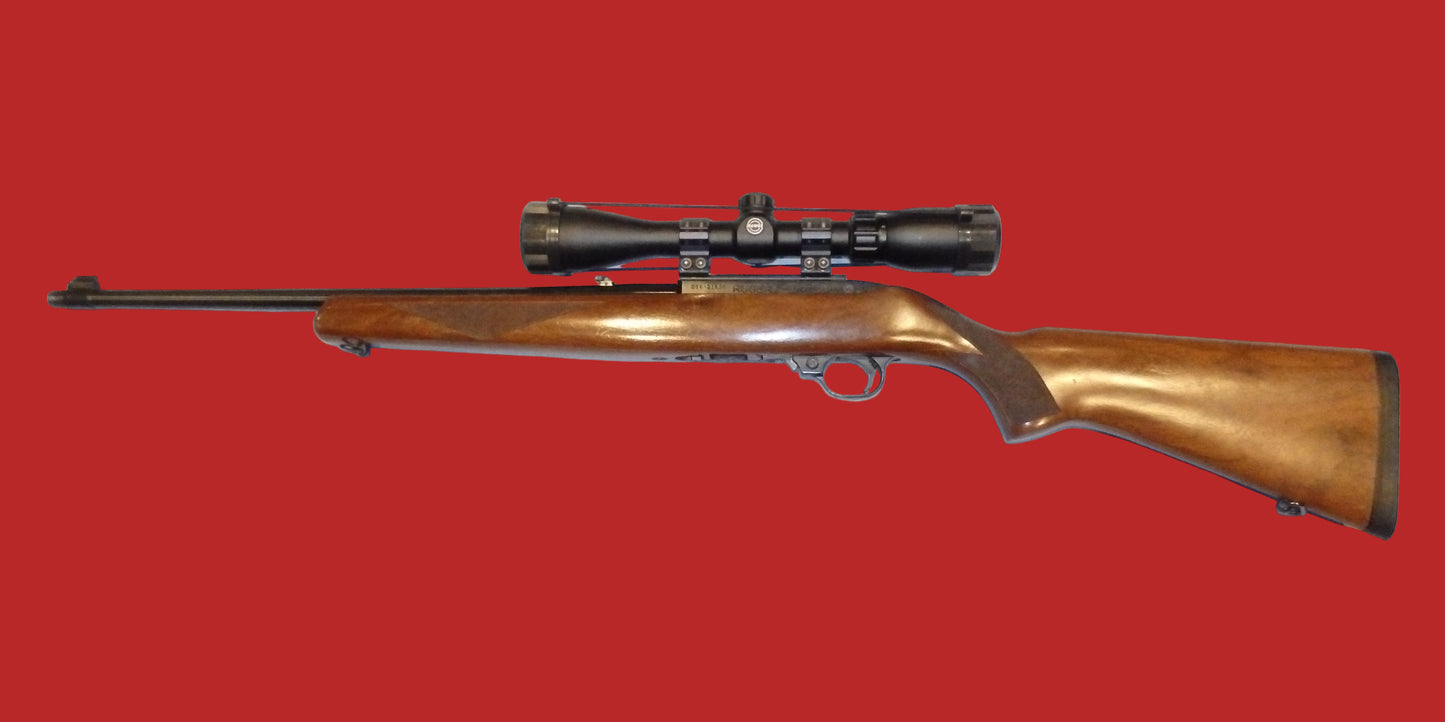.22  Ruger 10/22 Second Hand