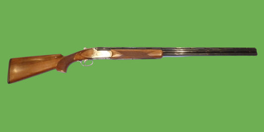 20B Bettinsoli X-Trail Second Hand