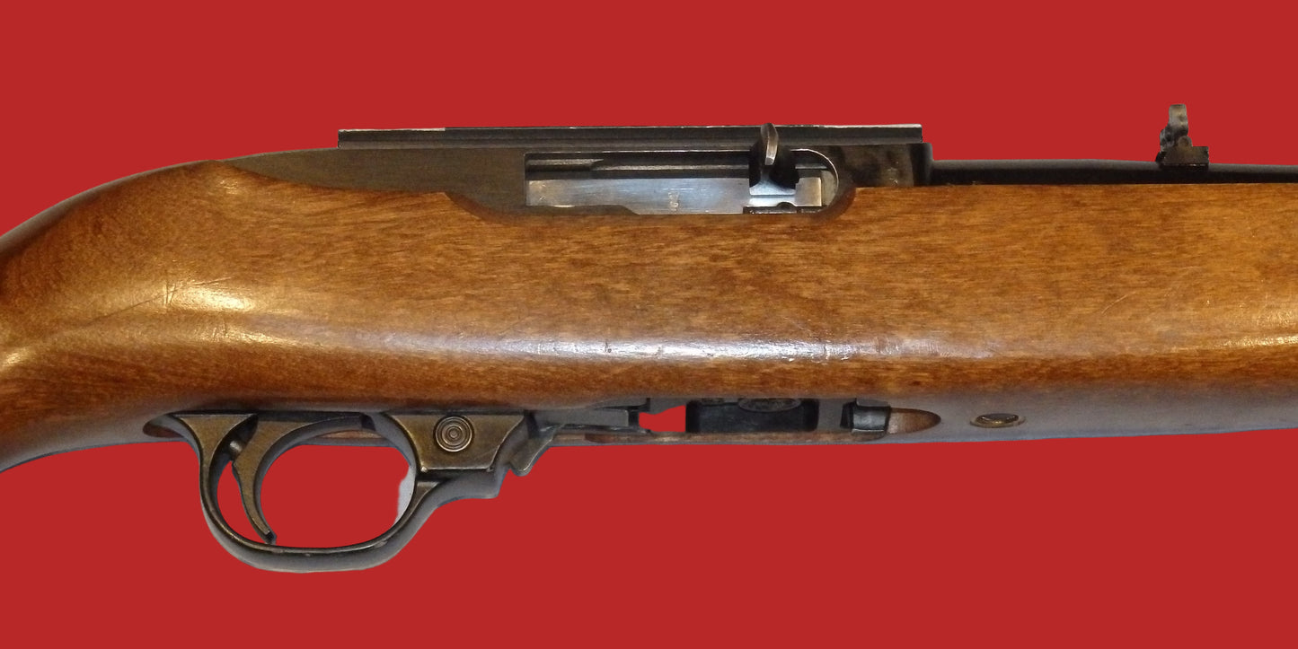 .22  Ruger 10/22 Second Hand